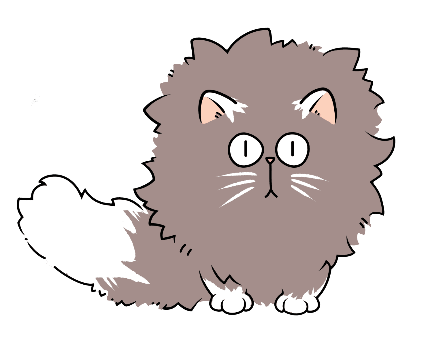 Wonton — a round, fluffy cartoon cat